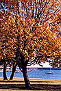 /images/133/1998-08-toronto-lake-view1-v.jpg - #00140: fall in Toronto … August 1998 -- Toronto, Ontario.Canada