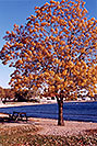 /images/133/1998-08-toronto-lake-view2-v.jpg - #00141: fall in Toronto … August 1998 -- Toronto, Ontario.Canada