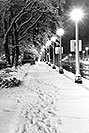 /images/133/1999-02-chicago-bw2-v.jpg - #00246: snowy night along Michigan Avenue … Feb 1999 -- Chicago, Illinois