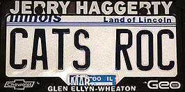/images/133/1999-04-plates-illinois.jpg - #00304: Illinois - cool license plates … from all around -- Illinois