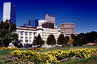 /images/133/1999-09-colo-denver2.jpg - #00371: Denver flowers … Sept 1999 -- Denver, Colorado