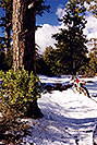 /images/133/2000-04-xr-crown-snow3-v.jpg - #00481: my Honda XR400 near Crown King … April 2000 -- Crown King, Arizona