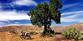 /images/133/2000-04-xr-tangerine2-pano.jpg - #00487: my Honda XR400 … parked on a hill (kickstarter broke) … April 2000 -- Tucson, Arizona