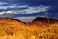 /images/133/2000-07-supersti-golden-lig.jpg - #00517: late afternoon at Superstition Mountains … July 2000 -- Superstitions, Arizona