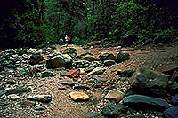 /images/133/2000-08-sedona-west-fork1.jpg - #00600: West Fork Trail in Sedona … April 2000 -- Sedona, Arizona