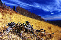 /images/133/2000-10-williams-meadow.jpg - #00692: Fall at Williams … near Flagstaff … March 2000 -- Williams, Arizona
