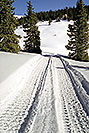 /images/133/2001-01-07-trail-to-cottage-v.jpg - #00739: morning at 11,500ft … Jan 2001 -- Leadville, Colorado