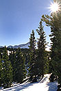 /images/133/2001-01-07-trees-sun-star-v.jpg - #00741: morning at 11,500ft … Jan 2001 -- Leadville, Colorado