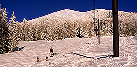 /images/133/2001-03-snowbowl-dogs-pano.jpg - #00784: Big snow at Snowbowl … Humphreys Peak in the background … March 2001 -- Humphreys Peak, Snowbowl, Arizona