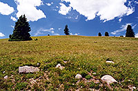 /images/133/2001-07-leadville-uphill.jpg - #00838: views at 12,000ft … 6hour uphill … July 2001 -- Chalk Mountain, Leadville, Colorado