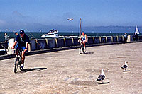 /images/133/2001-07-sfrisco-pier.jpg - #00852: San Francisco harbor … July 2001 -- San Francisco, California