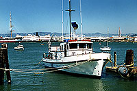 /images/133/2001-07-sfrisco-ship.jpg - #00854: San Francisco harbor … July 2001 -- San Francisco, California