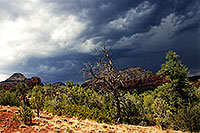 /images/133/2001-08-sedona-long-can3.jpg - #00879: Long Canyon … August 2001 -- Sedona, Arizona