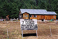 /images/133/2002-05-flagstaff-7dogs.jpg - #00936: 7 dogs … near Flagstaff … May 2002 -- Flagstaff, Arizona