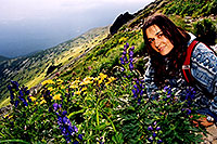 /images/133/2002-08-slovakia-flowers-d.jpg - #01095: Krivan mountain … July 2002 -- Krivan, Vysoke Tatry, Slovakia