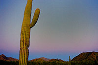 /images/133/2003-03-grande-cg60-9.jpg - #01144: near Casa Grande, Arizona … March 2003 -- Casa Grande, Arizona