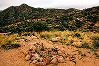 /images/133/2003-03-reavis-trail3.jpg - #01161: wet Reavis Ranch Trail in Superstition Mountains … March 2003 -- Superstitions, Arizona