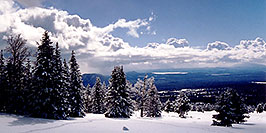 /images/133/2003-03-snowbowl-down3-w.jpg - #01175: Snowbowl ski area … March 2003 -- Snowbowl, Arizona