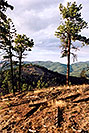 /images/133/2004-05-sedalia-view1-v.jpg - #01504: Sedalia … May 2004 … by Castle Rock, Colorado -- Sedalia, Colorado
