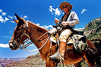 /images/133/2004-07-grand-horseback-amigo.jpg - #01683: Horseback riding guide in Grand Canyon … July 2004 -- Bright Angel Trail, Grand Canyon, Arizona