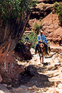 /images/133/2004-07-grand-horses-v.jpg - #01683: Horseback riders on Mules going down on Bright Angel Trail … July 2004 -- Bright Angel Trail, Grand Canyon, Arizona