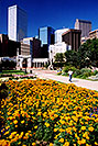 /images/133/2004-08-denver-flowers-v.jpg - #01835: Denver in August … August 2004 -- Denver, Colorado