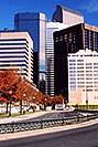/images/133/2004-08-denver-park-side-view-v.jpg - #01855: Buildings in Denver … August 2004 -- Denver, Colorado