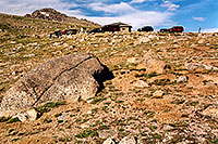 /images/133/2004-08-mt-evans-view1.jpg - #01927: Ola on the right … views by Summit Lake … August 2004 -- Mt Evans, Colorado