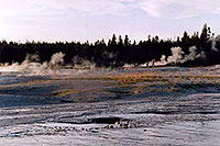 /images/133/2004-08-yello-geyser05.jpg - #02054: Yellowstone geysers … August 2004 -- Yellowstone, Wyoming