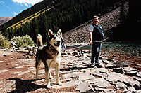 /images/133/2004-09-maroon-junior01.jpg - #02167: Junior (Alaskan Malamute) at Maroon Lake (he is 11 months old) … Sept 2004 -- Maroon Bells, Colorado