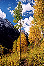 /images/133/2004-09-maroon-yellow-v.jpg - #02202: Maroon Bells in September … Sept 2004 -- Maroon Bells, Colorado
