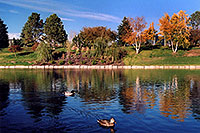 /images/133/2004-10-cent-lake02.jpg - #02239: images of Centennial … Oct 2004 -- County Line Rd, Centennial, Colorado