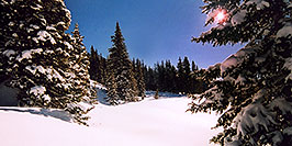 /images/133/2005-03-wolfcreek-trees1-w.jpg - #02568: Morning sun peeking while walking knee-deep snow … March 2005 -- Wolf Creek Pass, Colorado
