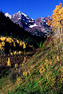 /images/133/2005-09-maroon-meadow-vert1-v.jpg - #02619: images of Maroon Bells … Sept 2005 -- Maroon Bells, Colorado