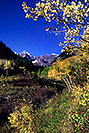 /images/133/2005-09-maroon-meadow-vert2-v.jpg - #02620: images of Maroon Bells … Sept 2005 -- Maroon Bells, Colorado