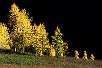 /images/133/2005-09-maroon-yellow-black.jpg - #02632: images of Maroon Bells … Sept 2005 -- Maroon Bells, Colorado