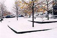 /images/133/2005-10-englewood-snow3.jpg - #02641: images of Englewood … Oct 2005 -- Englewood, Colorado