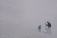 /images/133/2006-02-loveland-skier-dog.jpg - 02768: Backcountry Skier and dog in windy foggy conditions -- before skiing down east side towards Arapahoe Basin … Feb 2006 -- Loveland Pass, Colorado