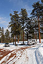 /images/133/2007-01-27-sed-logs-shack2.jpg - #03380: images of Sedalia … Jan 2007 -- Turnbull, Colorado