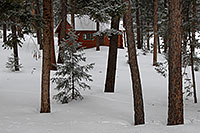 /images/133/2007-01-27-sed-woods.jpg - #03392: images of Sedalia … Jan 2007 -- Sedalia, Colorado