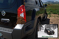 /images/133/2007-05-20-lake-bees-pro.jpg - #03795: Honey Bee swarm (wth a queen) in the crack in the back of my Xterra … May 2007 -- Lakewood, Colorado
