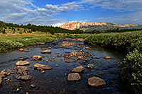 /images/133/2007-07-26-mt-bear-creek01.jpg - Montana
