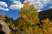 /images/133/2007-09-22-rm-cub-lake-3724.jpg - #04666: View near Cub Lake … Sept 2007 -- Cub Lake, Rocky Mountain National Park, Colorado
