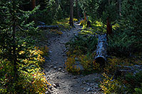 /images/133/2007-09-22-rm-woods-3745.jpg - #04675: Woods near Fern Falls … Sept 2007 -- Fern Falls, Rocky Mountain National Park, Colorado