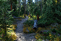 /images/133/2007-09-22-rm-woods-3748.jpg - #04676: Woods near Fern Falls … Sept 2007 -- Fern Falls, Rocky Mountain National Park, Colorado