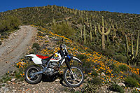 /images/133/2008-03-01-supers-1828.jpg - #04821: XR250 in Spring at Queen Valley in Superstition Mountains … March 2008 -- Queen Valley, Apache Junction, Arizona