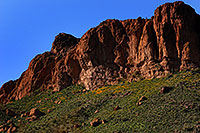 /images/133/2008-03-02-supers-2116.jpg - #04830: Images of Superstition Mountains … March 2008 -- Superstitions, Arizona