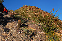 /images/133/2008-03-03-squaw-2439.jpg - #04847: Hikers at Squaw Peak Mountain in Phoenix … March 2008 -- Squaw Peak, Phoenix, Arizona