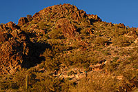 /images/133/2008-03-03-squaw-2513.jpg - #04852: Hikers at Squaw Peak Mountain in Phoenix … March 2008 -- Squaw Peak, Phoenix, Arizona