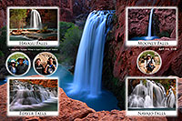 /images/133/2008-04-16-hav-profile.jpg - #05160: Our trip to Havasu / Mooney / Navajo / Beaver Falls … April 2008 -- Havasu Falls!, Havasu Falls, Arizona